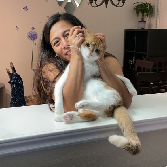 Meet your Posher, Juan c. - Picture 2 of 2